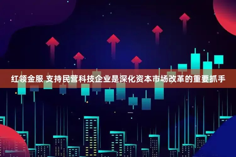 红领金服 支持民营科技企业是深化资本市场改革的重要抓手
