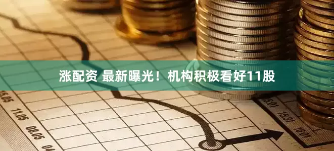 涨配资 最新曝光！机构积极看好11股