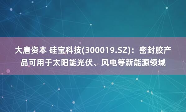 大唐资本 硅宝科技(300019.SZ)：密封胶产品可用于太阳能光伏、风电等新能源领域