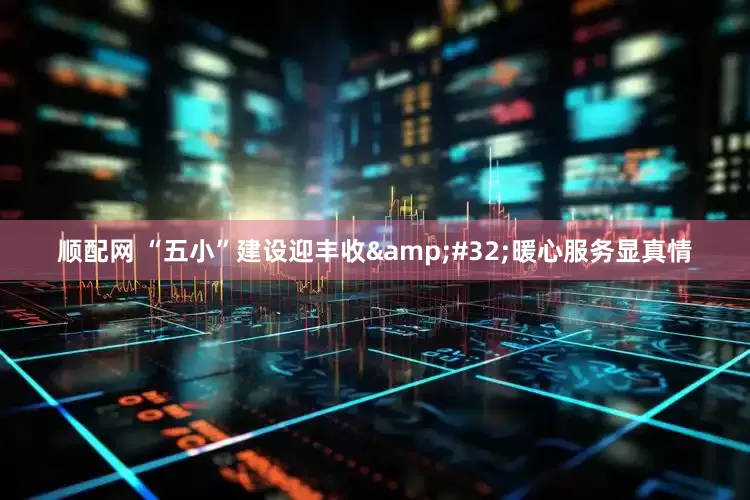 顺配网 “五小”建设迎丰收&#32;暖心服务显真情