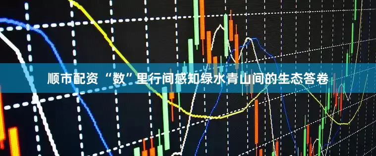 顺市配资 “数”里行间感知绿水青山间的生态答卷