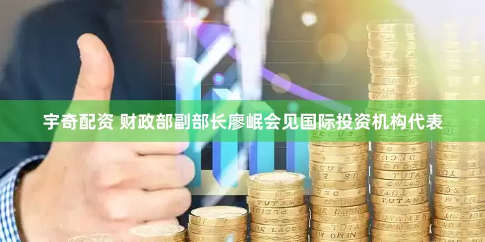 宇奇配资 财政部副部长廖岷会见国际投资机构代表