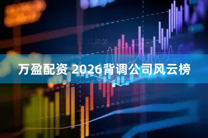 万盈配资 2026背调公司风云榜