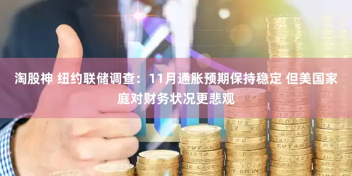 淘股神 纽约联储调查：11月通胀预期保持稳定 但美国家庭对财务状况更悲观
