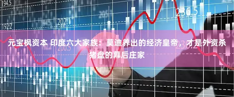 元宝枫资本 印度六大家族：莫迪养出的经济皇帝，才是外资杀猪盘的幕后庄家